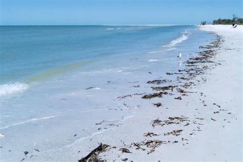 Top 10 Best Beaches in Southwest Florida • Authentic Florida