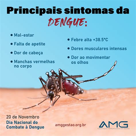 Quais são os principais sintomas da dengue? - AMG Gestão