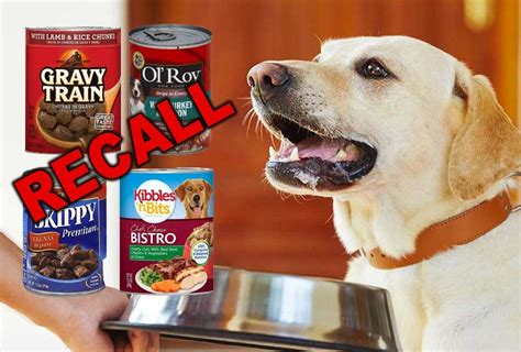 Dog Food Recalled Over Euthanasia Drug Concerns