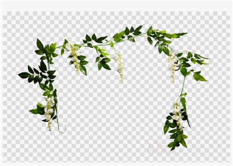 Ivy clipart ivy garland, Ivy ivy garland Transparent FREE for download on WebStockReview 2024