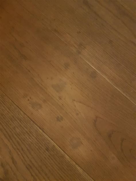 Wood floor maintenance- how to clean after serious stains : r/HomeImprovement