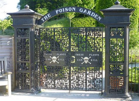 Alnwick Poison Gardens: Where Plants Can Kill