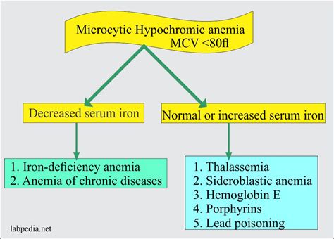 Anemia:- Part 2 - Iron Deficiency Anemia, Microcytic and hypochromic ...