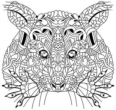 Zentangle Stylized Color Raccoon For Decoration Template Sketch Animal ...