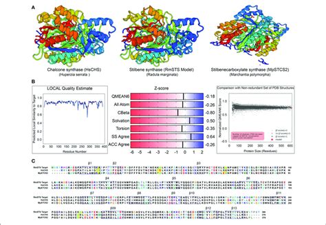 | (A) Crystal structure of stilbene synthase model compared with... | Download Scientific Diagram