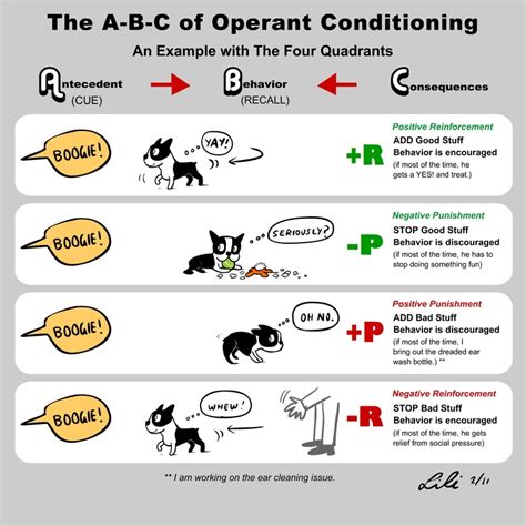 Operant Conditioning and Observational Learning - Psychology