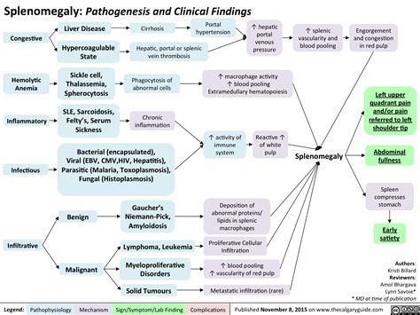 Splenomegaly: Pathogenesis and clinical findings | Calgary Guide