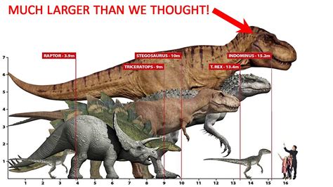 Sự So Sánh Giữa Stegosaurus Và T-Rex - Countrymusicstop.com