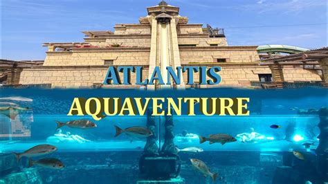 Atlantis Aquaventure Water Park - The Palm , Dubai 4K - YouTube