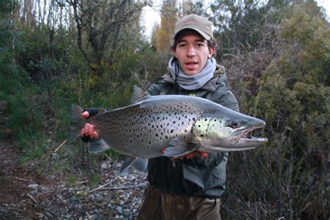 Limay river fever! | Faraway Fly Fishing