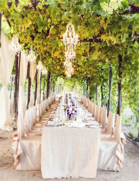 18 Summer Vineyard Wedding Ideas Worth Pinning