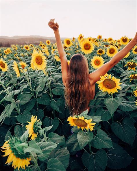 pinterest: insatiiable | Insta Inspo | Pinterest | Photography, Sunflowers and Picture ideas