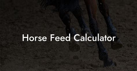 Horse Feed Calculator - How To Own a Horse