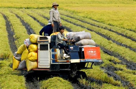 Vietnam Looks to Become Asian Food Innovation Hub | Vietnam Times