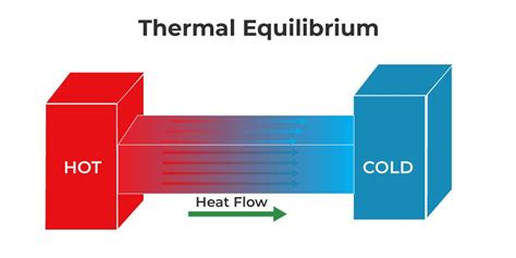 Thermal Equilibrium Definition Formula Example Video Lesson | My XXX Hot Girl