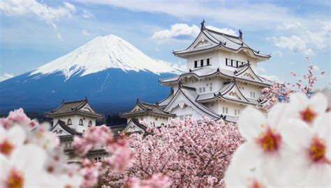 THE ULTIMATE JAPAN TRAVEL GUIDE - The Asia Collective