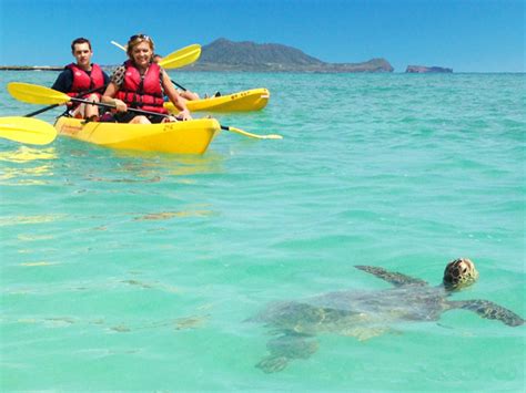 Kailua Beach Adventures - 5 Hour Guided Kayak Tour - Hawaii Discount