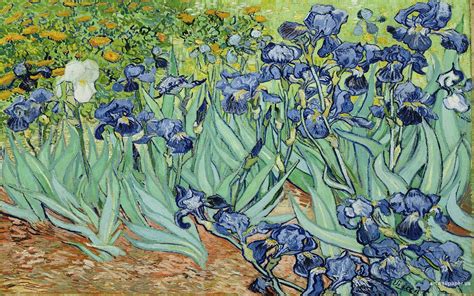 Van Gogh Irises Wallpapers - Top Free Van Gogh Irises Backgrounds ...