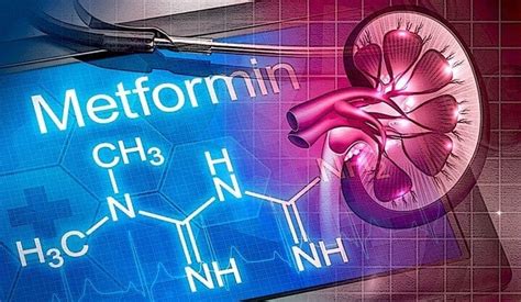 Diabetes drug metformin may be safe for patients with kidney disease ...