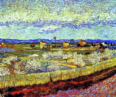 Peach Trees in Blossom by Vincent Van Gogh 1889 Painting by Vincent Van ...