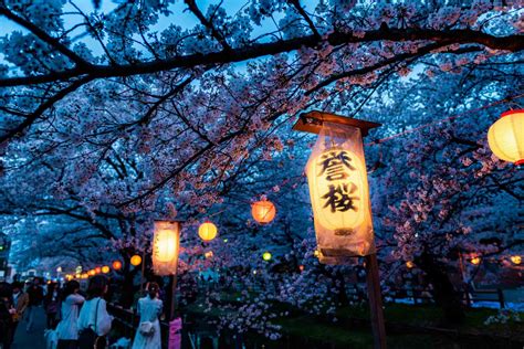 Tokyo Cherry Blossom Festival 2024 Tickets - Birgit Sharyl