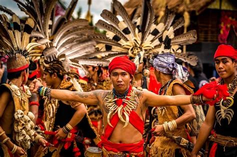 Suku Dayak: Asal Usul, Ciri, Kebudayaan dan Sejarah