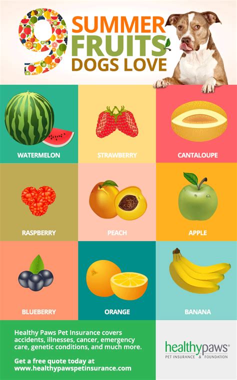 9 Summer Fruits Dogs Love - Healthy Paws | Can dogs eat strawberries, Can dogs eat bananas, Can ...