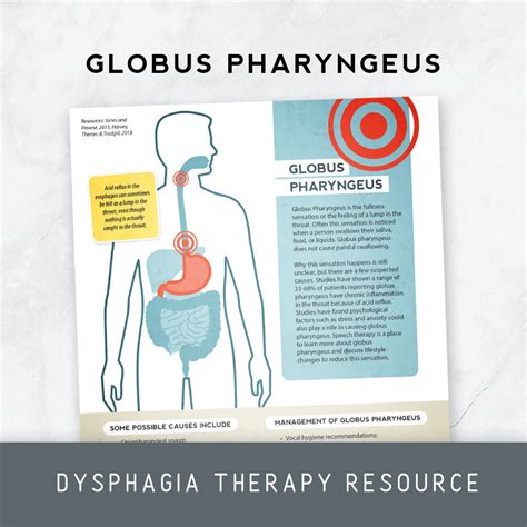 Globus Pharyngeus – Therapy Insights