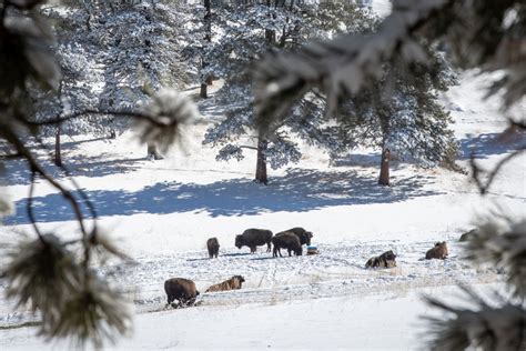 Colorado weather: Snow expected Thursday but the weekend should be warmer