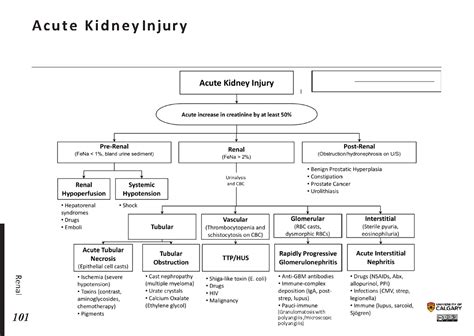 ACUTE KIDNEY INJURY - Blackbook : Blackbook