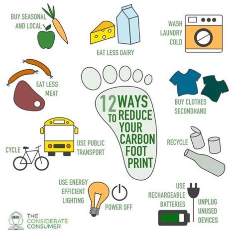 How to reduce your carbon footprint — The Considerate Consumer