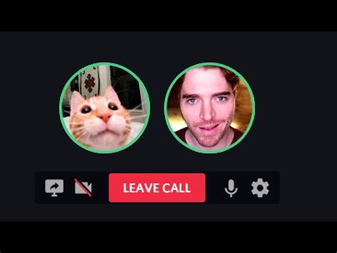 Shane Dawson Cat Meme Edited Outlet | fast-lisa.unibo.it