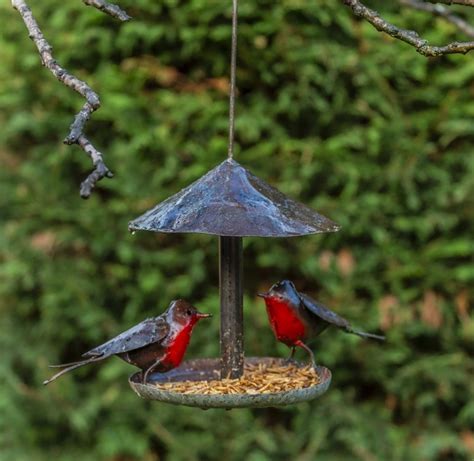 Hanging Robin Bird Feeder