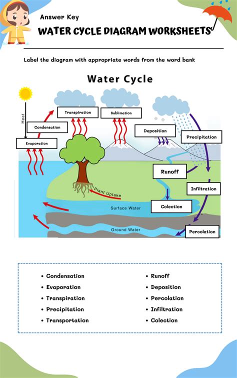 Water Cycle Diagram Worksheets | WorksheetsGO