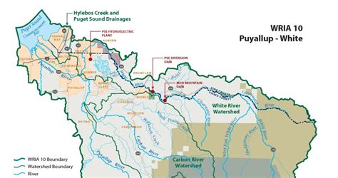 Puyallup River Outreach Project | A Resource of the Enviromental Education COI for PWI