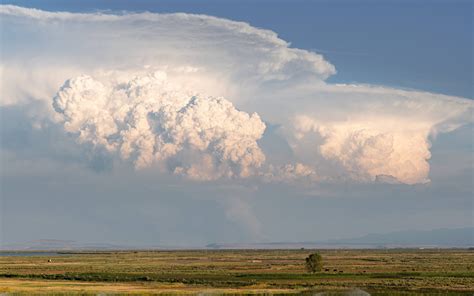 Cumulonimbus Flammagenitus (formerly pyrocumulonimbus) clouds above the ...