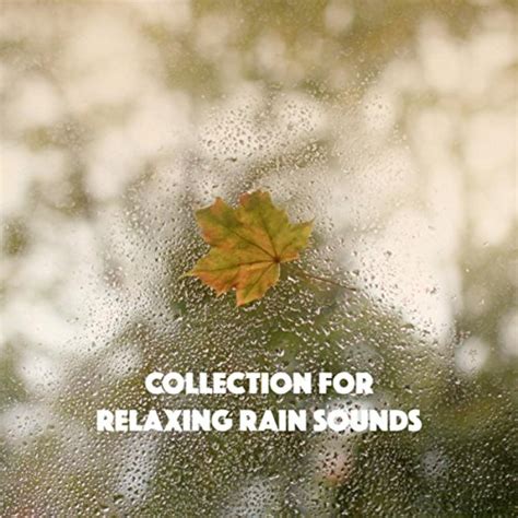 Amazon.com: Collection for Relaxing Rain Sounds : Relaxing Rain Sounds ...