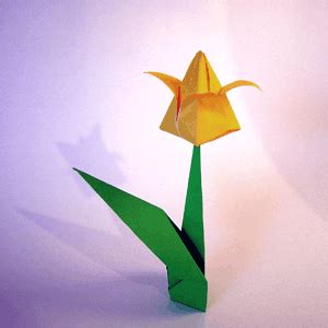 Origami Tulip Instructions