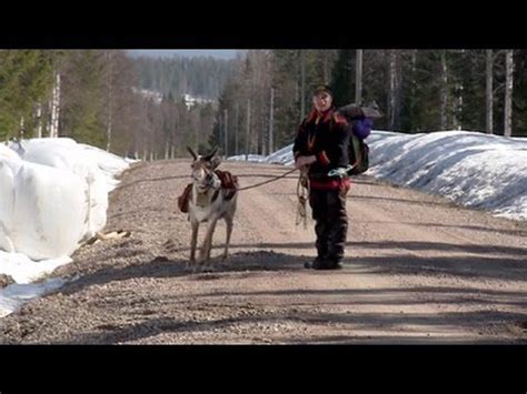 The Last Generation? – Sami Reindeer Herders in Swedish Lapland, Documentary | Sweden history ...