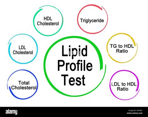 Lipid profile hi-res stock photography and images - Alamy