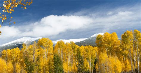 Flagstaff Fall Festivals & Events | Discover Flagstaff