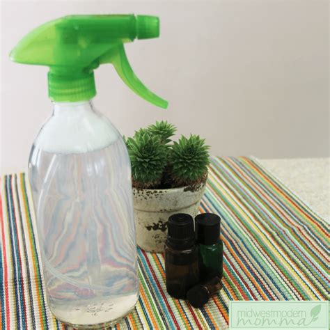 DIY Mold & Mildew Removal Spray | Midwest Modern Momma