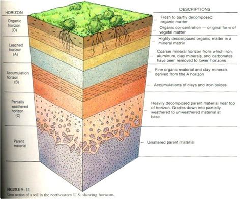 Pin by Margaret Cline on agriculture proud | Soil layers, Types of soil, Soil