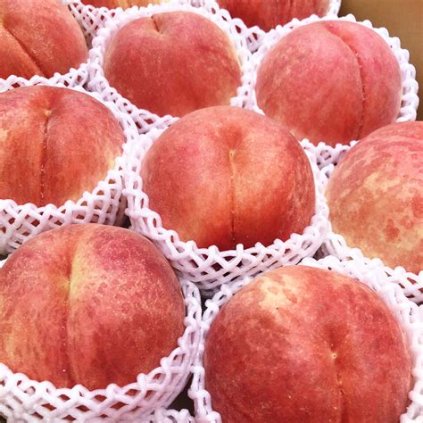 Japanese Sachiakane White Peach (Jumbo) — MomoBud