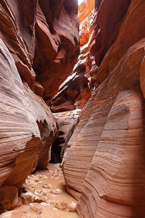 Wire Pass to Buckskin Gulch: An Amazing Hike in the Slot Canyons