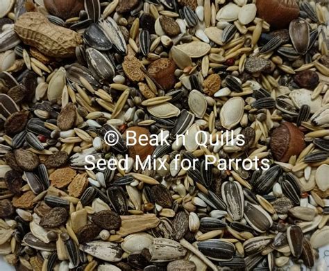 Premium Quality Parrot Seed Food at Rs 360/kg | Bengaluru | ID: 22477640130