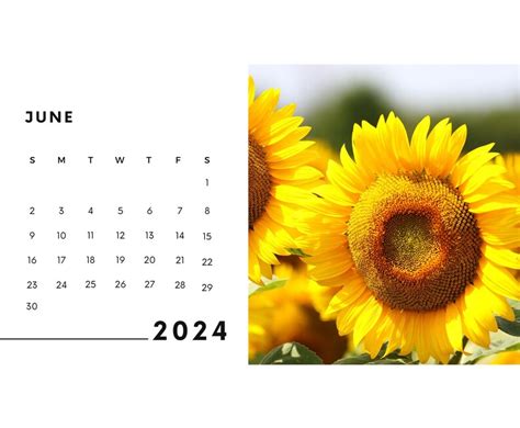 2024 Wall Calendar 2024 Sunflower Calendar 2024 Wall Calendar Printable 2024 Calendar Sunflower ...