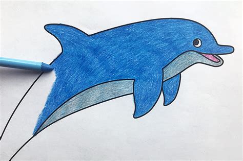 470 Cute Dolphin Coloring Pages Printable Latest Free - Coloring Pages ...