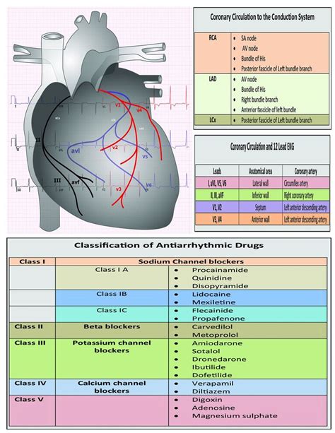 12 Lead Placement Cheat Sheet Printable