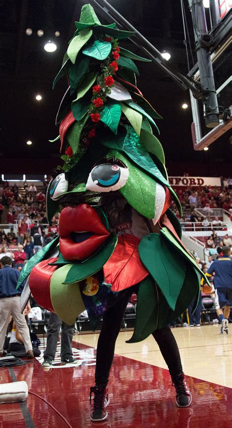 The origins of Stanford’s "Tree" mascot | The Daily Californian ...